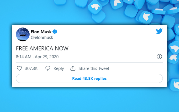 Elon Musk Twitter - Free America Now