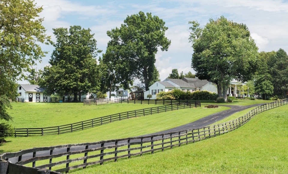 Johnny Depp's Horse Farm