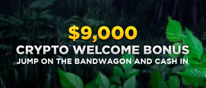 Wild Casino Crypto Welcome Bonus