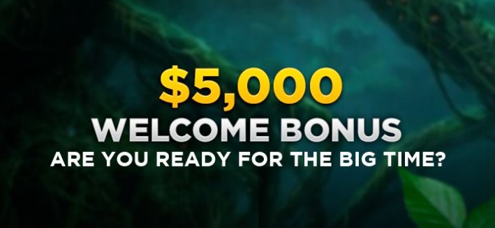 Wild Casino standard welcome bonus