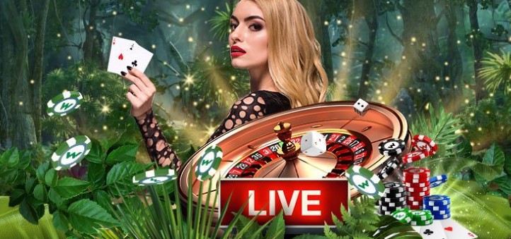 Wild Casino Live Casino